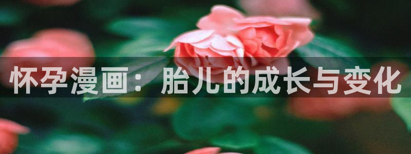 yy漫画网页版登录入口：怀孕漫画：胎儿的成长与变化