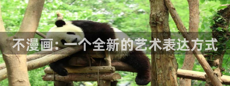 yy漫画是什么：不漫画: 一个全新的艺术表达方式