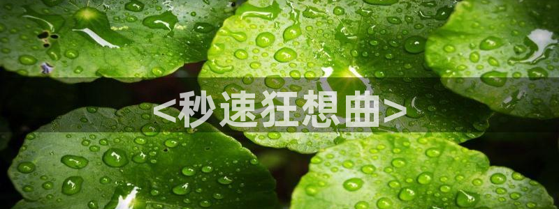 yy漫画韩漫：<秒速狂想曲>