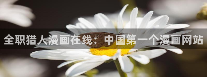yy漫画大全套：全职猎人漫画在线：中国第一个漫画网站