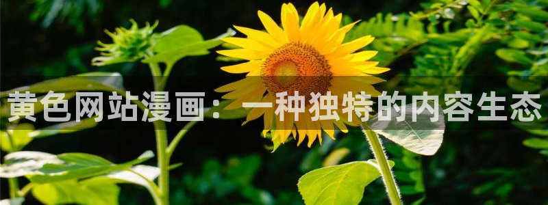 yy漫画免费漫画登录在线看：黄色网站漫画：一种独特的内容生态