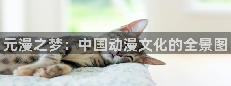 yy漫画网页版